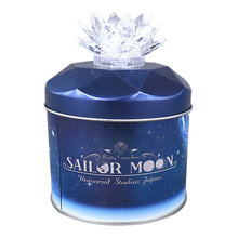 Load image into Gallery viewer, Sailor Moon 25th Anniversary Silver Crystal Tin Universal Studios Japan