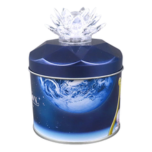 Load image into Gallery viewer, Sailor Moon 25th Anniversary Silver Crystal Tin Universal Studios Japan