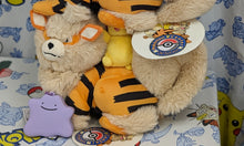 Load image into Gallery viewer, Pokemon Plush Arcanine & Pikachu Okinawa Exclusive 1 Year Anniversary Pokemon Center