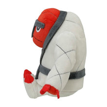 Load image into Gallery viewer, Pokemon Center Throh Sitting Cutie/Fit