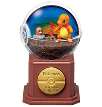 Load image into Gallery viewer, Pokemon Blind Box Terrarium Collection Vol. 10 Re-Ment