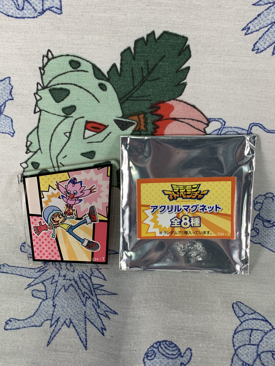 Digimon Adventure Limited Base Goods Acrylic Magnet Sora Takenouchi with Biyomon