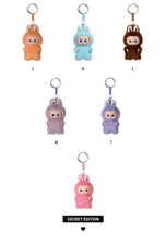 Load image into Gallery viewer, POP MART THE MONSTERS Pin For Love A-M Plush Blind Box
