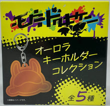 Load image into Gallery viewer, Pokemon Blind Box Aurora Keychain Collection Moudoku Kiken 2024 Pokemon Center
