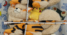 Load image into Gallery viewer, Pokemon Plush Arcanine &amp; Pikachu Okinawa Exclusive 1 Year Anniversary Pokemon Center
