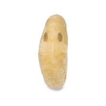 Load image into Gallery viewer, Pokemon Center Lunatone Sitting Cutie/Fit
